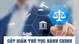 Thống nhất quan điểm để triển khai nghị quyết của chính phủ đối với dịch vụ kế toán