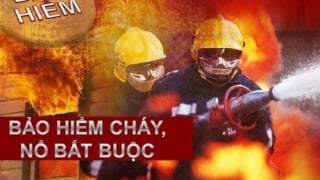 Danh mục 44 cơ sở phải mua bảo hiểm cháy, nổ bắt buộc
