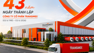 Transimex Corporation làm báo cáo quản trị sai lệch, nhập nhằng dịch vụ liên kết