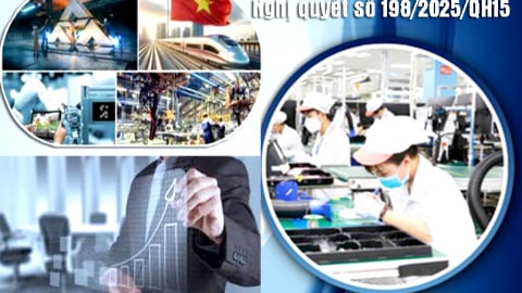 Miễn kiểm tra thực tế tại doanh nghiệp, hộ kinh doanh, cá nhân kinh doanh tuân thủ tốt quy định của pháp luật