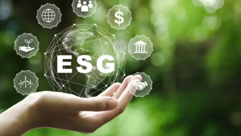 Tác động của môi trường, xã hội và quản trị doanh nghiệp (ESG) đến giá trị doanh nghiệp: Bằng chứng thực nghiệm tại các nước đang phát triển ở khu vực ASEAN