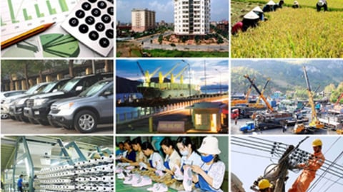 Tập đoàn, Tổng công ty làm rõ kết quả, hạn chế 6 tháng đầu năm