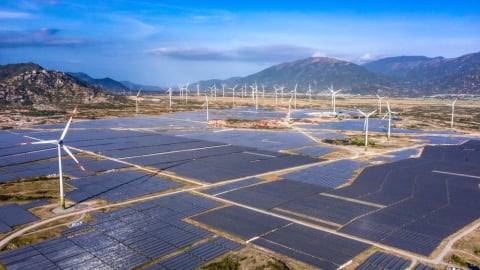  Công ty điện mặt trời của Trung Nam lãi gần 140 tỷ đồng 