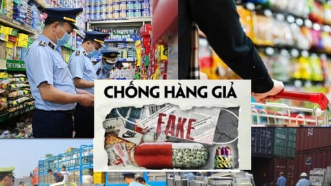 Quy chế tổ chức, hoạt động của BCĐ quốc gia chống buôn lậu, gian lận thương mại và hàng giả