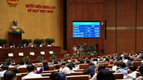 Miễn học phí: Mệnh lệnh vì dân, hành động vì tương lai