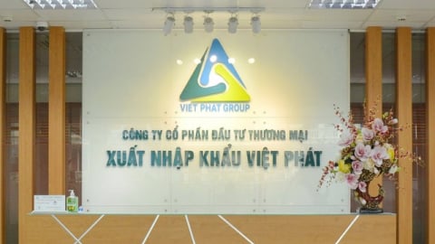 Công ty xuất nhập khẩu Việt Phát bị kiểm toán phát hiện sai lệch thông tin