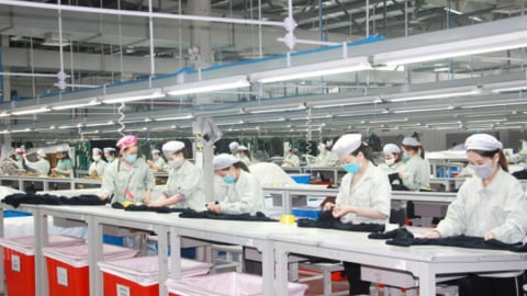 Khuyến khích đưa nội dung tiết kiệm, chống lãng phí vào điều lệ, nội quy của doanh nghiệp