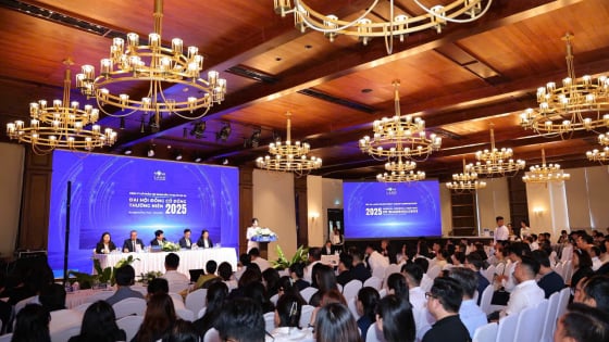 ĐHĐCĐ 2025 Novaland: Nỗ lực phục hồi, đặt mục tiêu 2025 bám sát thực tế, tập trung tháo gỡ pháp lý