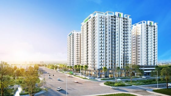 Chủ tịch Uỷ ban kiểm toán Tập đoàn Đầu tư I.P.A không có bằng đai học 