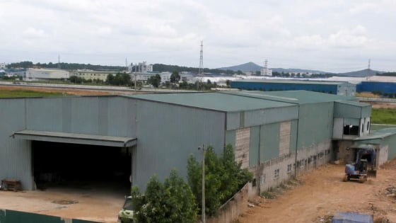 Huế: Công ty Cổ phần Hello Quốc tế Việt Nam bị xử phạt 130 triệu đồng