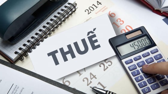 Vì sao doanh nghiệp lớn có ưu đãi thuế quan, tính toán lỗ lãi; hộ kinh doanh nộp thuế theo doanh thu?
