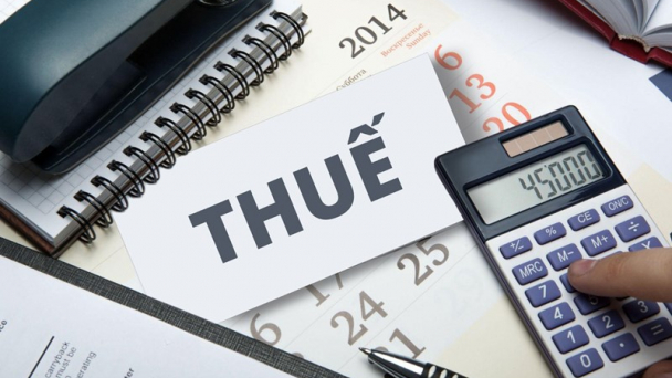 Vì sao doanh nghiệp lớn có ưu đãi thuế quan, tính toán lỗ lãi; hộ kinh doanh nộp thuế theo doanh thu?