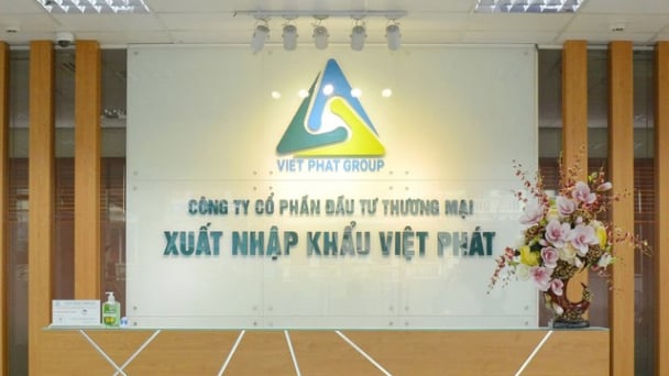 Công ty xuất nhập khẩu Việt Phát bị kiểm toán phát hiện sai lệch thông tin