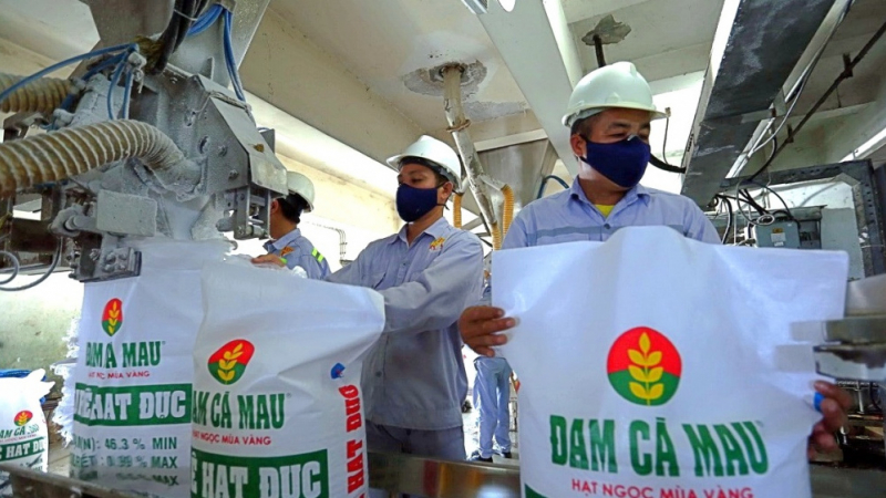 Dòng tiền dồi dào, lương hậu hĩnh ở Đạm Cà Mau 