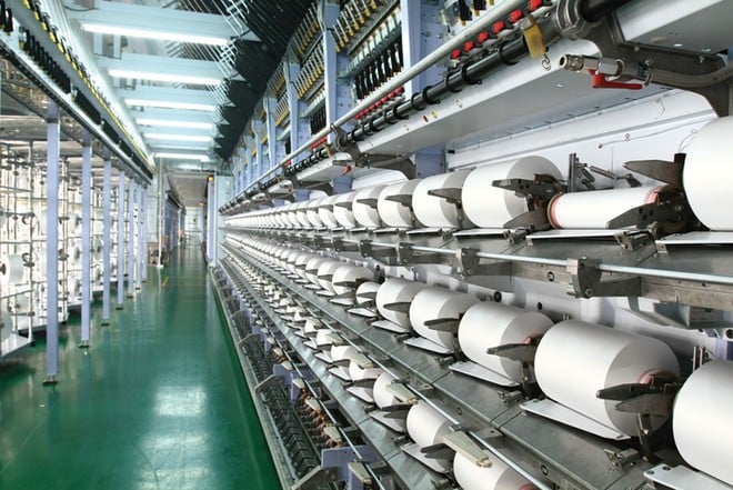 Công ty Sợi Thế Kỷ: Bán cổ phiếu quỹ lệch báo cáo, lãi sau kiểm toán hụt 72% 