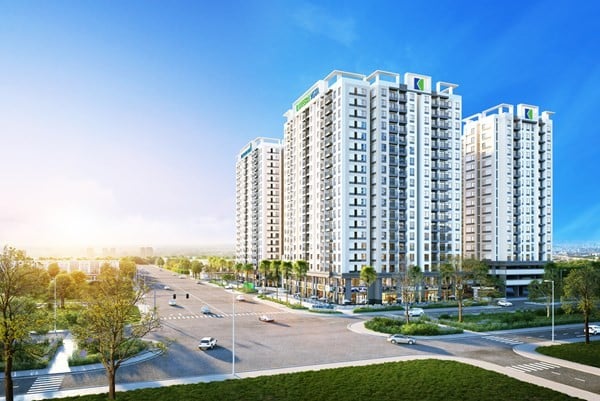 Chủ tịch Uỷ ban kiểm toán Tập đoàn Đầu tư I.P.A không có bằng đai học 