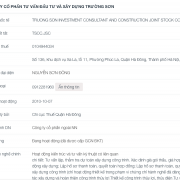 Công ty Tư vấn Đầu tư và Xây dựng Trường Sơn: Tỷ lệ trúng thầu gần như tuyệt đối
