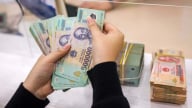 Stocks of Vietnam's smaller banks rally on capital plans, major bourse listings