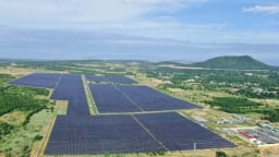 Ha Do Group shares tumble to two-year low amid solar tariff uncertainty