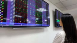 Strong Q2 earnings, lower interest rates to bolster Vietnam stocks