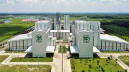Thai giant CP's Q1 Vietnam revenue drops 11% on weaker farm business