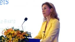 Capital flows still lag green investment needs in Vietnam: BlackRock Switzerland chair