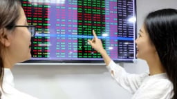 Window opening to buy quality Vietnamese assets at deep discounts as liquidity tightens: SGI Capital