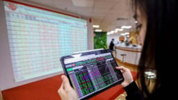 VN-Index slips below 1,800-point mark, FPT hits 31-month low
