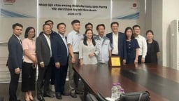 S Korean magnet producer Novatech eyes investment in northern Vietnam