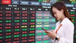 Vietnam stock market charms foreign investors with non pre-funding solution: broker