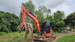 Thai farm culls 125 crocodiles as flood waters rise