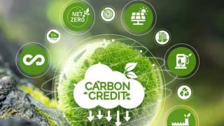 Stocks poised to benefit from Vietnam's carbon market