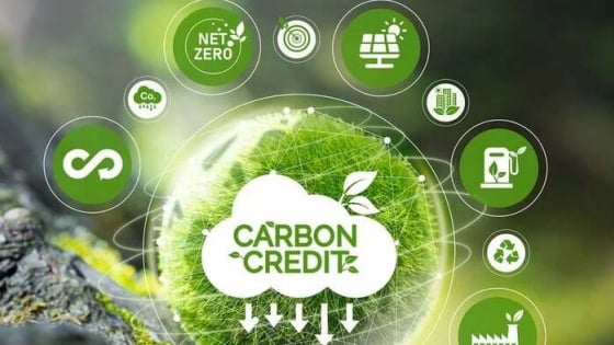 Stocks poised to benefit from Vietnam's carbon market