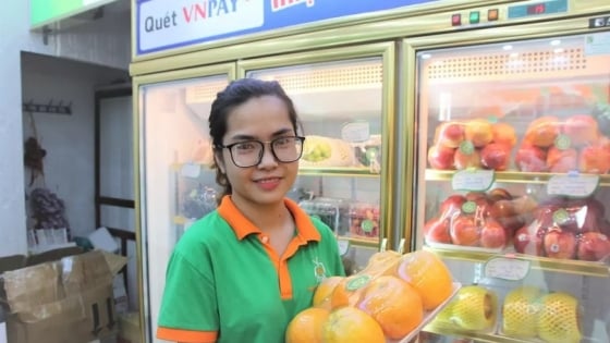 Nhập khẩu trái cây từ tháng 1 đến tháng 7 của Việt Nam tăng 12,7% lên 1,2 tỷ USD