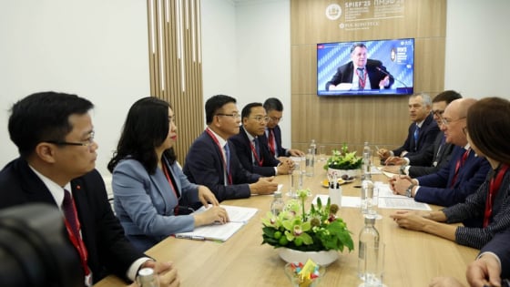 Vietnam Deputy PM calls on Russian firms to scale up investment in energy, digital technology, pharmaceuticals
