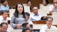 Đại biểu quốc hội đồng loạt phản đối việc bỏ quyền chất vấn tư pháp địa phương