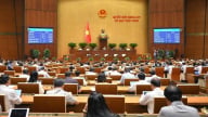 Quốc hội 'chốt' tăng thuế tiêu thụ đặc biệt với nước ngọt và rượu bia