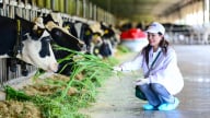 Vinamilk 'mở khóa tự nhiên' tại Green Farm: Mô hình sinh thái truyền cảm hứng đến cộng đồng doanh nghiệp