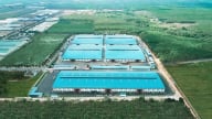 Gỗ An Cường ứng phó thuế quan Mỹ