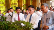 Thaco hợp lực OPC đưa Quảng Nam thành thủ phủ dược liệu