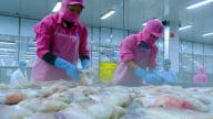 Triển vọng kinh tế Việt Nam vẫn u ám trước thời hạn thuế quan