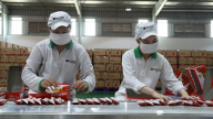 Lợi nhuận quý II của Tập đoàn PAN tăng 50%