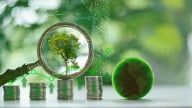 Tín chỉ carbon có giá bao nhiêu?