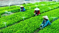 Doanh nghiệp góp sức vì nông nghiệp xanh và trẻ em hạnh phúc