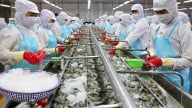 'Nhịn đau' tái cơ cấu hàng tồn kho, Minh Phú bắt đầu hái quả ngọt