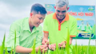 Lời giải cho bài toán nông nghiệp của The PAN Group