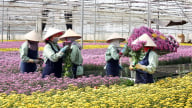 Hasfarm Holdings dự chi 4.500 tỷ thâu tóm doanh nghiệp Úc