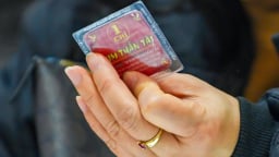 Giá vàng hôm nay 3/6: Trong nước 'ngồi nhìn' quốc tế tăng vọt