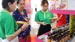 Xuất khẩu gặp sóng gió, thị trường nội địa thành bệ phóng