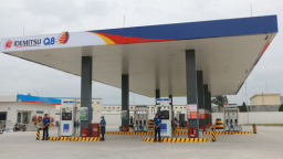 Arrival of wholly foreign invested petrol station raises concerns over survival of domestic ones